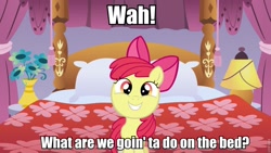 Size: 960x540 | Tagged: safe, apple bloom, earth pony, pony, g4, adorabloom, apple bloom's bow, bed, bow, cute, female, fial, filly, grin, hair bow, image macro, looking at you, meme, on bed, pomf, smiling, solo, squee, this will end in jail time, waifu, what are we gonna do on the bed?