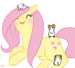 Size: 488x441 | Tagged: safe, artist:mcponyponypony, fluttershy, g4, bijou, cute, hamtaro, stan (hamtaro)