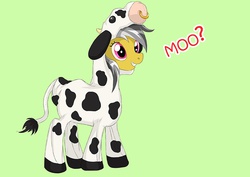 Size: 800x566 | Tagged: safe, artist:muramasa, daring do, cow, g4, clothes, costume, daring moo, female, solo