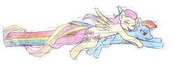 Size: 2000x756 | Tagged: safe, artist:lionsoulkopa, fluttershy, rainbow dash, g4, female, lesbian, ship:flutterdash, shipping