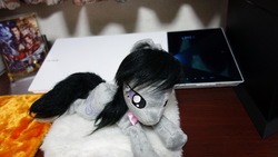 Size: 1472x829 | Tagged: artist needed, safe, octavia melody, g4, irl, photo, plushie