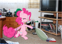 Size: 3047x2158 | Tagged: safe, artist:rollingjennyh, pinkie pie, earth pony, pony, g4, cleaning, eyes closed, high res, irl, photo, ponies in real life, solo, vacuum cleaner
