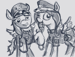 Size: 750x569 | Tagged: safe, artist:agm, fluttershy, rainbow dash, g4, clothes, cops, cuffs, police, police pony, uniform