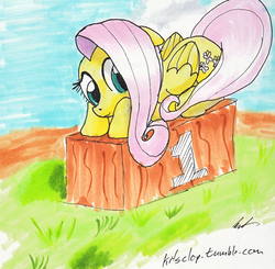 Size: 500x489 | Tagged: artist needed, safe, fluttershy, g4, female, solo