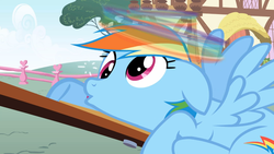 Size: 1365x768 | Tagged: safe, screencap, rainbow dash, applebuck season, g4, derp, dizzy, female, knocked silly, solo