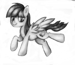 Size: 1377x1200 | Tagged: safe, artist:wyntercreations, wild fire, g4, female, monochrome, solo