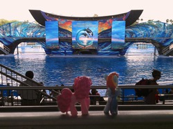 Size: 1962x1465 | Tagged: safe, artist:scrwloose, pinkie pie, rainbow dash, g4, behind, irl, photo, ponies in real life, sea world, seaworld, toy