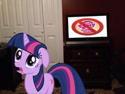 Size: 604x453 | Tagged: safe, twilight sparkle, g4, crying, hater, haters, meme, sad, wat