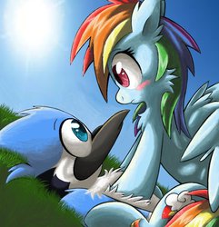 Size: 877x911 | Tagged: safe, artist:mordecairigbylover, rainbow dash, g4, blushing, chest fluff, crossover, crossover shipping, cute, dashabetes, eye contact, fluffy, frown, male, mordecai, mordedash, on back, on top, regular show, shipping, spread wings, standing, sun, wide eyes