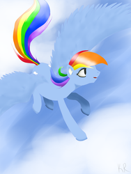 Size: 2448x3264 | Tagged: safe, artist:ectoecho, rainbow dash, g4, female, high res, solo