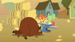 Size: 1365x768 | Tagged: safe, screencap, apple bumpkin, jonagold, marmalade jalapeno popette, bison, buffalo, g4, over a barrel, apple family member, background pony, unnamed buffalo, unnamed character