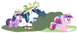 Size: 1200x530 | Tagged: safe, artist:dm29, princess cadance, shining armor, twilight sparkle, g4, binoculars, book, cute, filly, gritted teeth, hat, julian yeo is trying to murder us, pith helmet, reading, simple background, spying, transparent background, trio, wide eyes