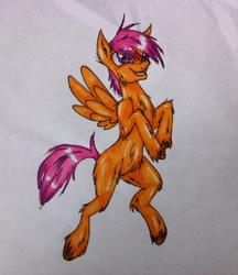 Size: 828x960 | Tagged: safe, artist:stepzzi, scootaloo, pegasus, pony, g4, female, open mouth, solo, traditional art