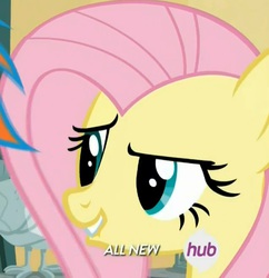 Size: 725x749 | Tagged: safe, screencap, fluttershy, g4, trade ya!, all new, face, female, hub logo, lip bite, raised eyebrow, smiling, solo