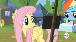 Size: 1452x812 | Tagged: safe, screencap, fluttershy, rainbow dash, g4, trade ya!, face, frown, glare, hub logo