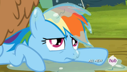 Size: 852x485 | Tagged: safe, screencap, rainbow dash, pony, g4, trade ya!, disgusted, drool, frown, hub logo, prone