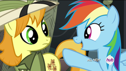 Size: 1000x563 | Tagged: safe, screencap, rainbow dash, teddie safari, g4, trade ya!, all new, daring do collector, full set, hub logo, hubble, text, the hub