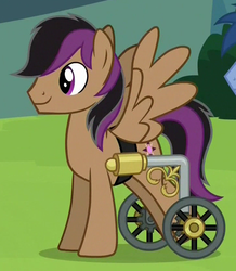 Size: 729x837 | Tagged: safe, screencap, stellar eclipse, pegasus, pony, g4, season 4, trade ya!, cropped, handicapped, male, solo, spread wings, stallion, wheelchair, wings