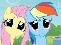 Size: 672x489 | Tagged: safe, screencap, fluttershy, rainbow dash, pony, g4, trade ya!, bronybait, faic, looking at you, pouting, sad