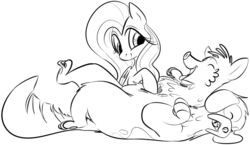 Size: 1021x591 | Tagged: safe, artist:dotkwa, fluttershy, dog, orthros, g4, trade ya!, bellyrubs, grayscale, monochrome, multiple heads, playing, two heads
