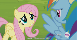 Size: 1441x762 | Tagged: safe, screencap, fluttershy, rainbow dash, g4, trade ya!, hub logo, meme, youtube caption