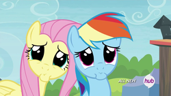 Size: 1920x1080 | Tagged: safe, screencap, fluttershy, rainbow dash, g4, trade ya!, faic, hub logo, pouting