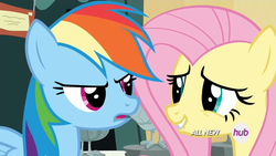 Size: 1440x810 | Tagged: safe, screencap, fluttershy, rainbow dash, g4, trade ya!, hub logo, lip bite