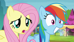 Size: 1920x1080 | Tagged: safe, screencap, fluttershy, rainbow dash, g4, trade ya!