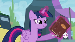 Size: 1920x1080 | Tagged: safe, screencap, twilight sparkle, alicorn, pony, g4, season 4, trade ya!, female, hub logo, lidded eyes, mare, out of context, solo, twilight sparkle (alicorn)