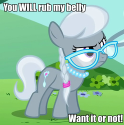 Size: 523x528 | Tagged: safe, silver spoon, g4, bellyrubs, bronybait, female, glasses, image macro, meme, solo