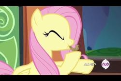 Size: 960x640 | Tagged: safe, screencap, fluttershy, pony, g4, trade ya!, bird call, bird whistle, blowing, female, hub logo, puffy cheeks, solo, train, whistle