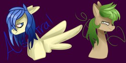 Size: 1386x697 | Tagged: safe, artist:sydnizeponi, oc, oc only, oc:astral blitzen, oc:sage leaf, pony, female, mare