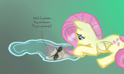 Size: 900x539 | Tagged: safe, artist:katakiri, fluttershy, g4, crying, flutterbitch, puddle, reflection, semi-vulgar