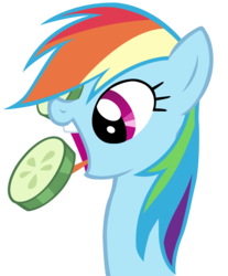 Size: 1265x1528 | Tagged: safe, artist:cloudy glow, rainbow dash, g4, cucumber, cucumber pirate, cute, dashabetes, eating, female, herbivore, portrait, simple background, solo, transparent background, vector, vegetables