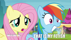 Size: 1920x1080 | Tagged: safe, edit, edited screencap, screencap, coco crusoe, fluttershy, rainbow dash, pegasus, pony, g4, trade ya!, female, image macro, mare, meme, that is my fetish, that is not my fetish, varying degrees of want