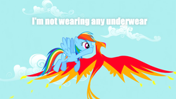 Size: 1280x720 | Tagged: safe, edit, edited screencap, screencap, philomena, rainbow dash, bird, pegasus, phoenix, pony, a bird in the hoof, g4, captain obvious, caption, duo, female, flying, mare, rainbow's whispers, spread wings, we don't normally wear clothes, whispering, wings