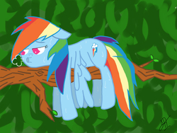 Size: 2048x1536 | Tagged: safe, artist:victoreach, rainbow dash, g4, female, solo