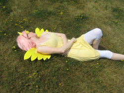 Size: 1024x768 | Tagged: safe, artist:otakuwolf329, fluttershy, human, g4, cosplay, irl, irl human, photo, solo