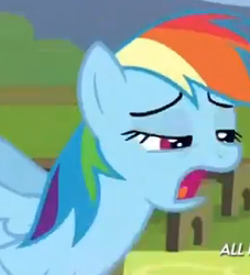 Size: 262x289 | Tagged: safe, screencap, rainbow dash, g4, female, out of context, solo