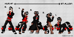 Size: 6000x3000 | Tagged: safe, artist:fourze-pony, human, pony, anthro, semi-anthro, unguligrade anthro, anthro chart, humanized, kamen rider, kamen rider fourze, kisaragi gentaro, male, parody, pompadour, stallion, transition