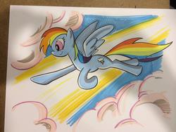 Size: 1024x768 | Tagged: safe, artist:thom zahler, rainbow dash, g4, female, solo, traditional art