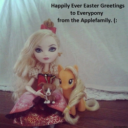 Size: 500x500 | Tagged: safe, applejack, g4, apple white, doll, ever after high, female, irl, photo, text, toy