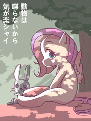 Size: 600x800 | Tagged: safe, artist:tsukusun, angel bunny, fluttershy, pegasus, pony, rabbit, g4, animal, duo, japanese, pixiv