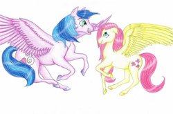 Size: 1024x676 | Tagged: safe, artist:adventuree, fluttershy, oc, oc:whiff sweet, g4, colored, traditional art