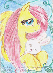Size: 376x519 | Tagged: safe, artist:gothicsugar, angel bunny, fluttershy, g4, traditional art