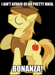 Size: 1922x2603 | Tagged: safe, artist:kamyk962, edit, braeburn, earth pony, pony, g4, black background, bonanza, eyes closed, hat, image macro, male, meme, simple background, solo, stallion