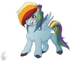 Size: 800x665 | Tagged: safe, artist:gazziy, rainbow dash, g4, female, solo