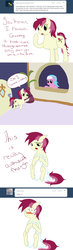 Size: 750x2560 | Tagged: safe, aloe, roseluck, g4, ask, comic, rosereplies, tumblr