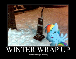 Size: 500x387 | Tagged: safe, rainbow dash, g4, winter wrap up, demotivational poster, facehoof, fail, funny, image macro, irl, meme, solo, vacuum cleaner, you're doing it wrong