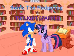 Size: 960x720 | Tagged: safe, twilight sparkle, alicorn, pony, g4, background pony strikes again, crossover, crossover shipping, female, golden oaks library, male, mare, sonic the hedgehog, sonic the hedgehog (series), straight, twilight sparkle (alicorn), twisonic